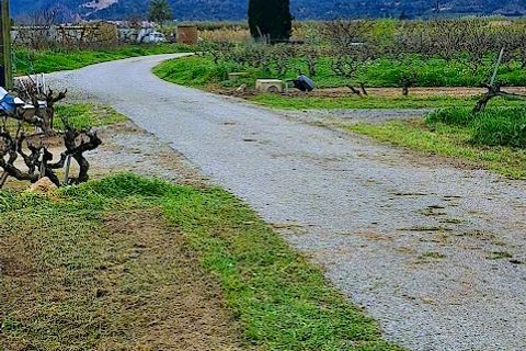 Finca a Ginestar, Tarragona, Ginestar - € 28.000 | Ref: CC839 - foto 16